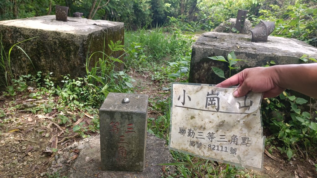 百大：小崗山健行步道封面圖