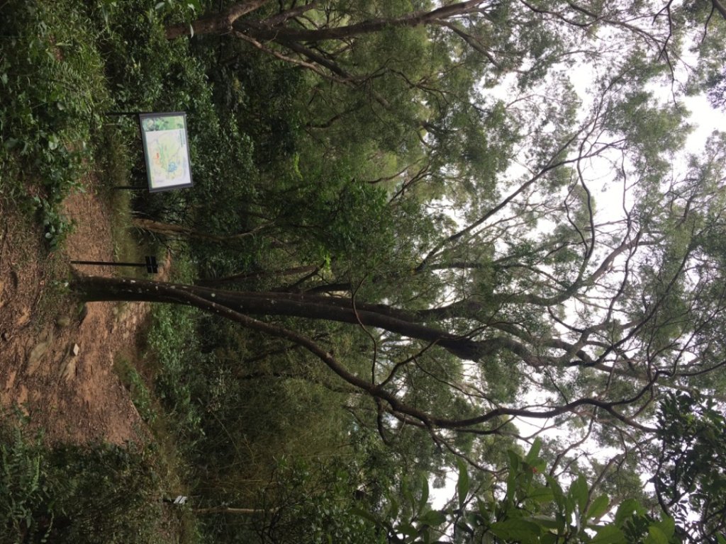 五酒桶山、南崁山_2693335