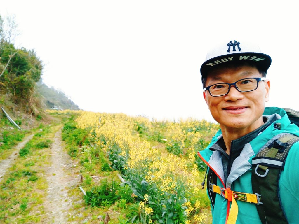 米羅山之木_292798