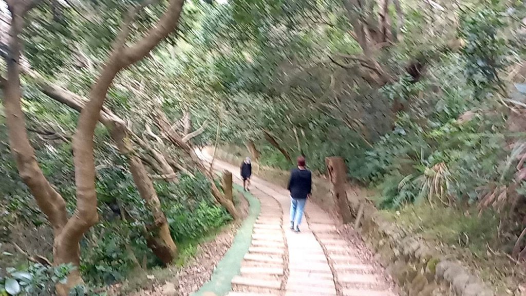 20230228 新竹新豐 鳳崎落日步道 走走_2064520