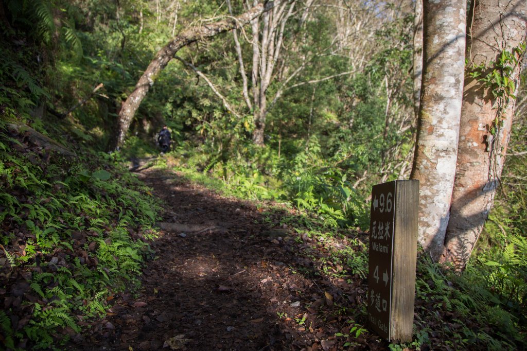 【花蓮】瓦拉米步道春遊_823389