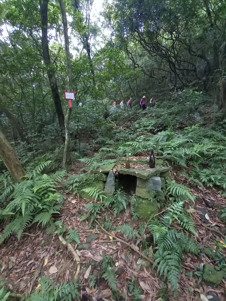 灣坑頭山_2666114