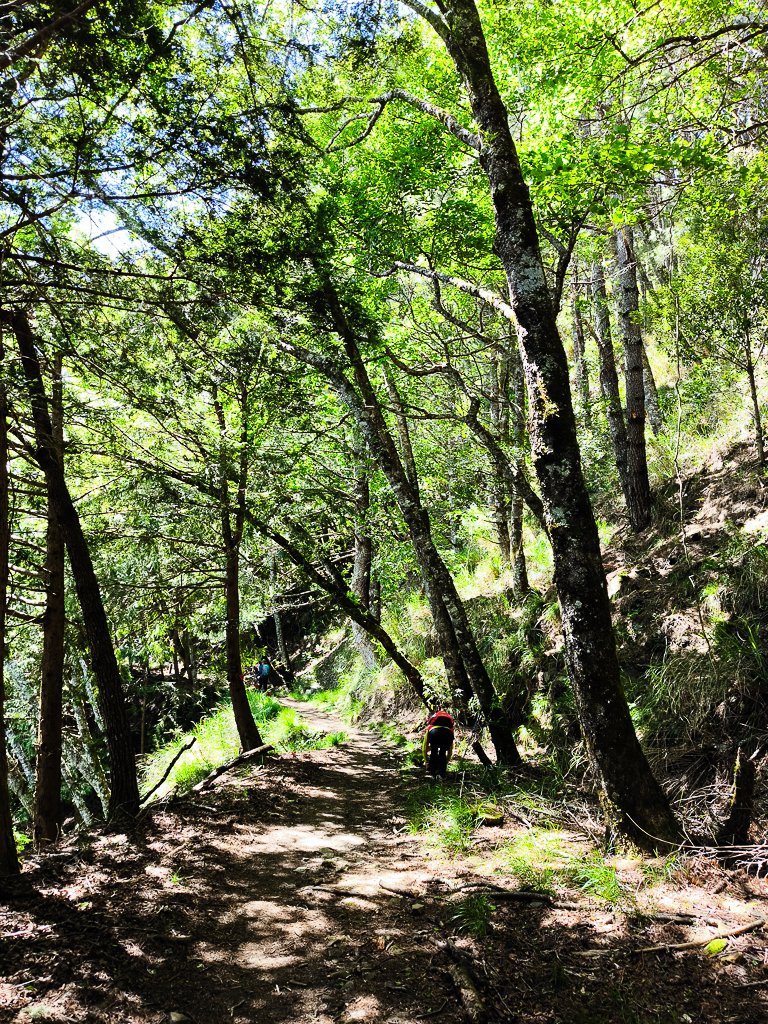 2025-05-18 平多縱走_2794733