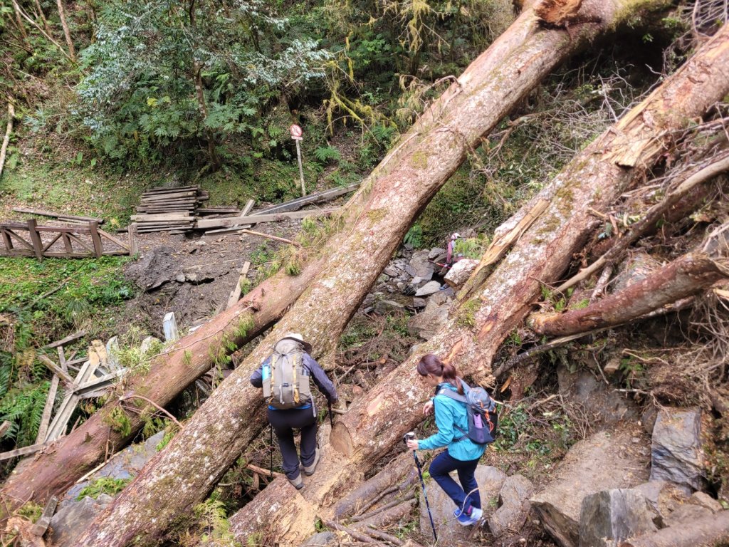 福巴越嶺古道 達觀山 檜山_2016581