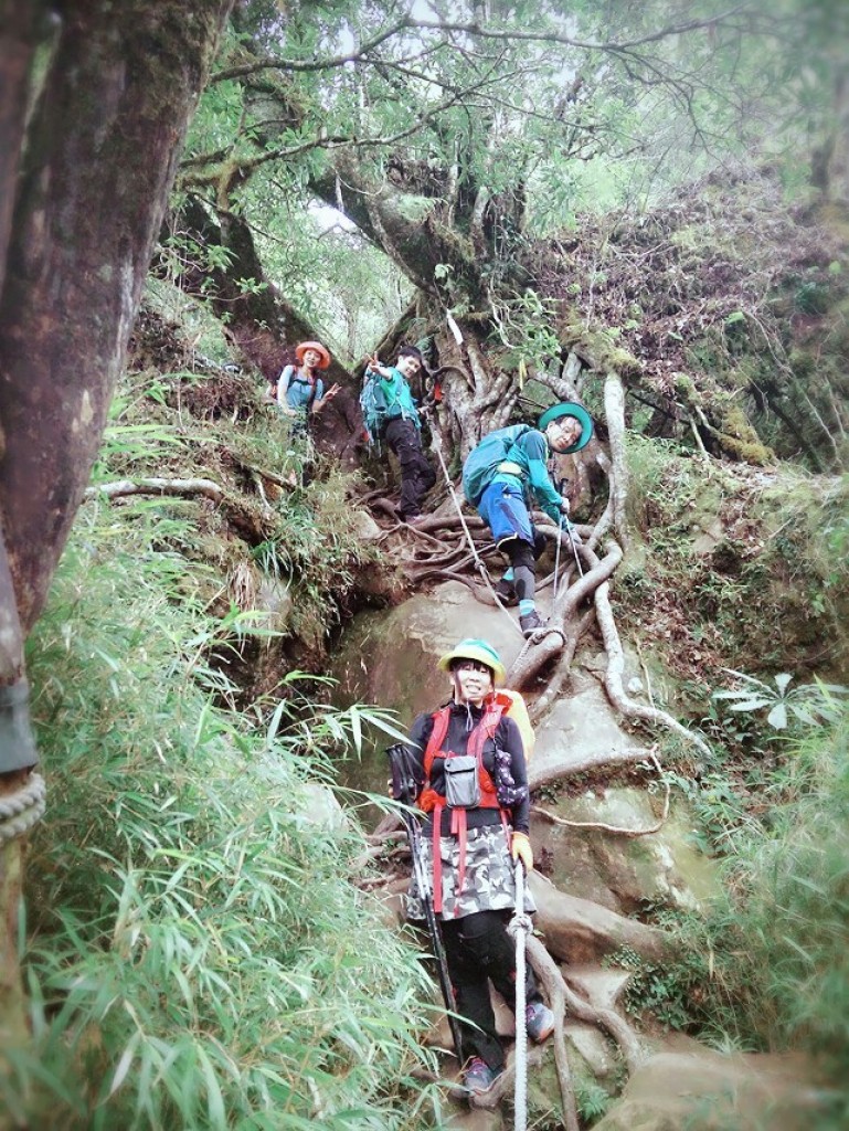 2017/09/16 加里山秋涼糞金龜_245582