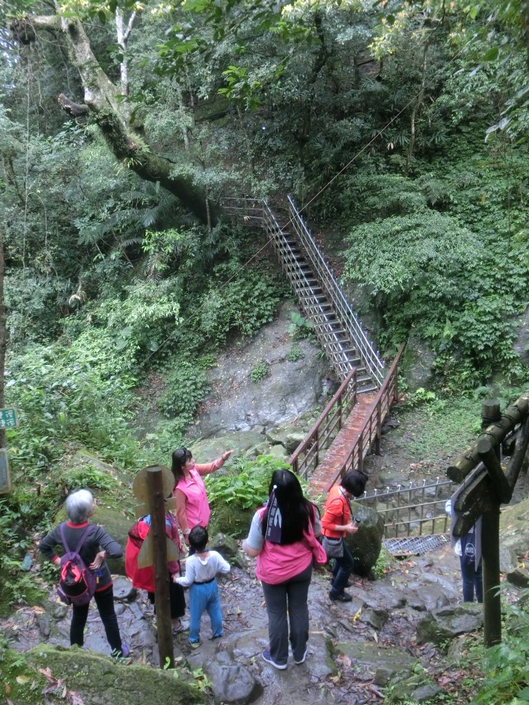 馬武督森林_566543