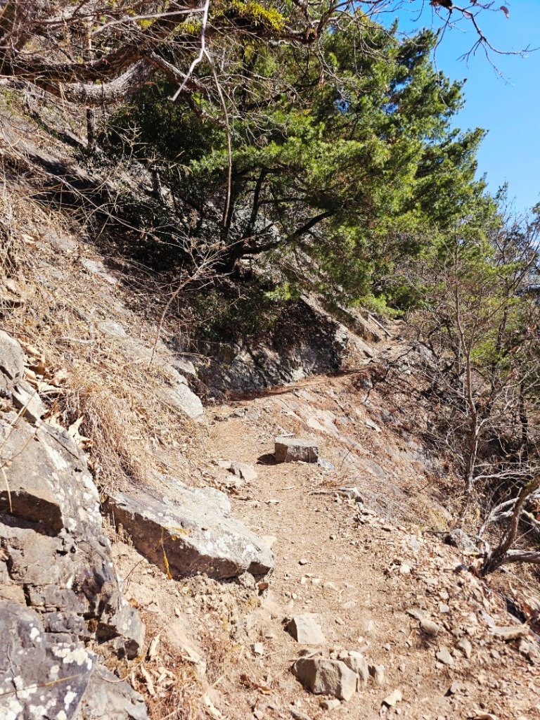 東卯山-谷關七雄(老五)_2991590
