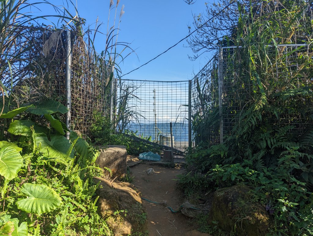 九五峰、南港山＆四獸山O型10連峰_2036226