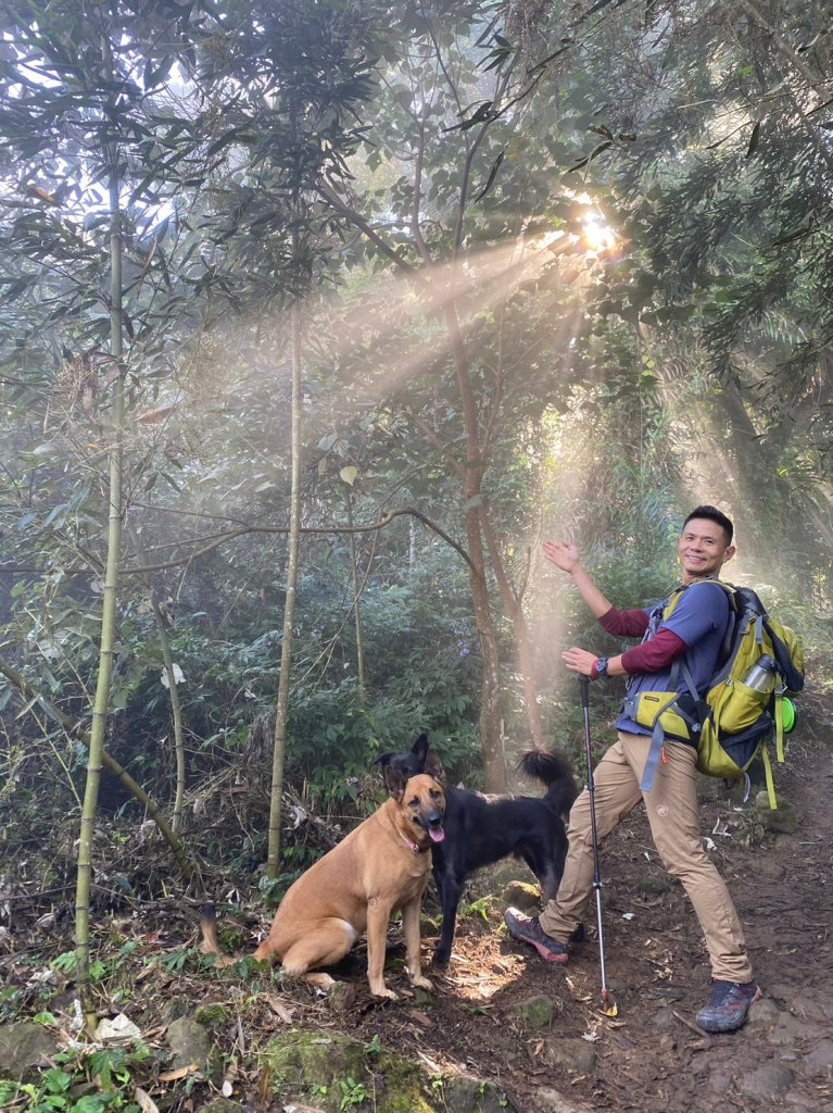 馬那邦山.細道邦山【你 不能預判山的變幻莫測】_2401473