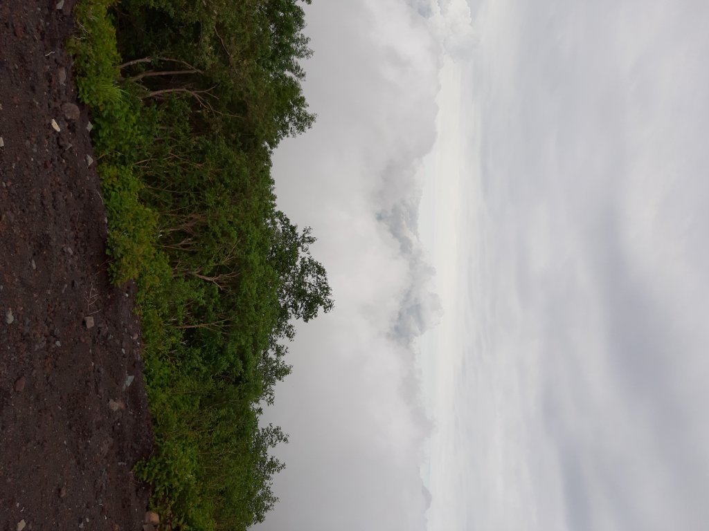 富士山五合目＆忍野八海_642188