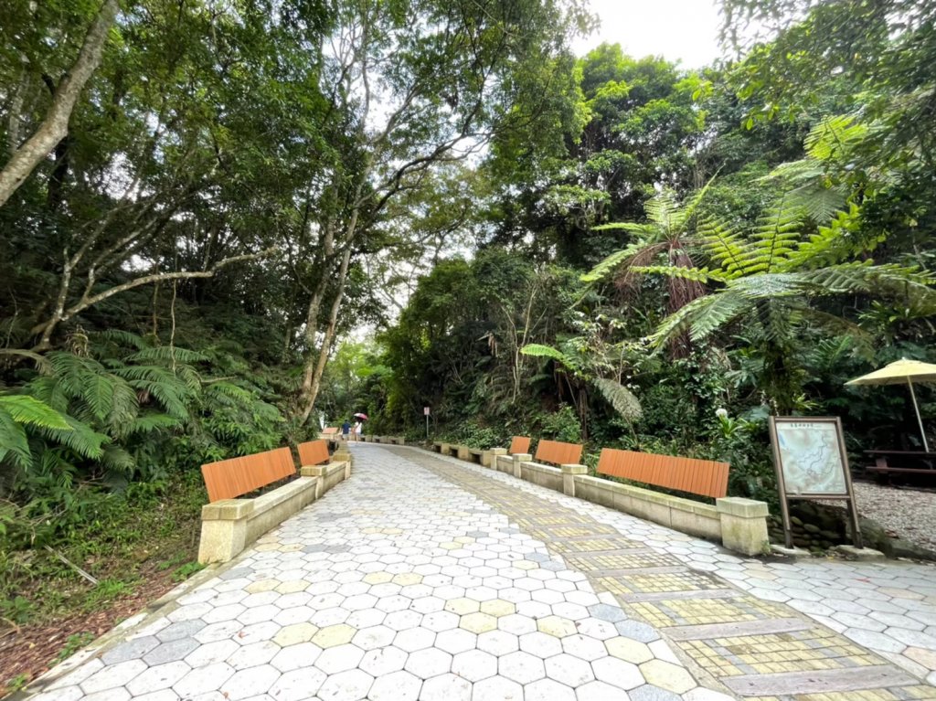 桃園｜大溪 百吉林蔭步道_1487883