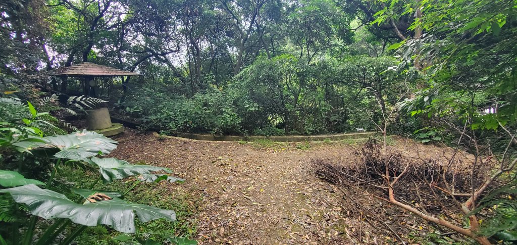 2024-11-23臺北大縱走第六段：中華科技大學至捷運麟光站_2653498