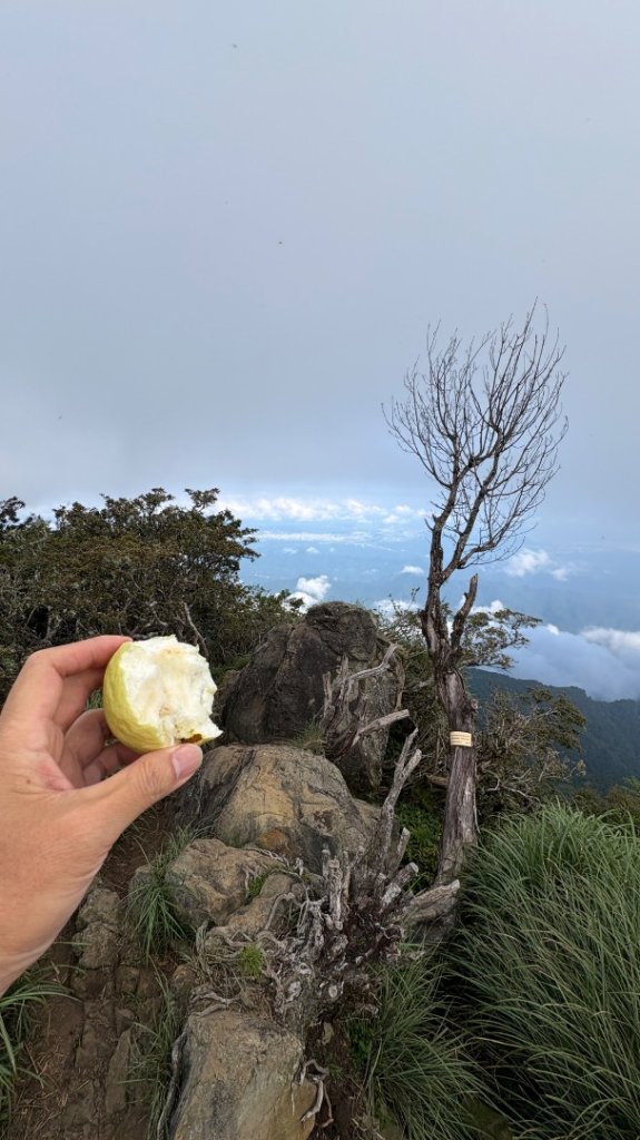 加里山_2855990