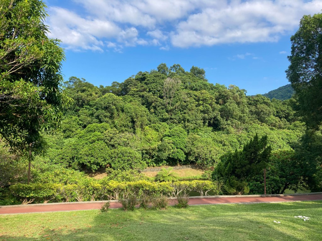 2023 南港公園 (健康大榖東，臺北趴趴走)_2280043