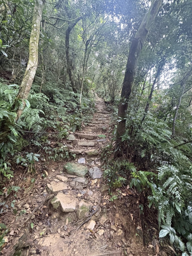 20251227尾寮山登山步道_2970531