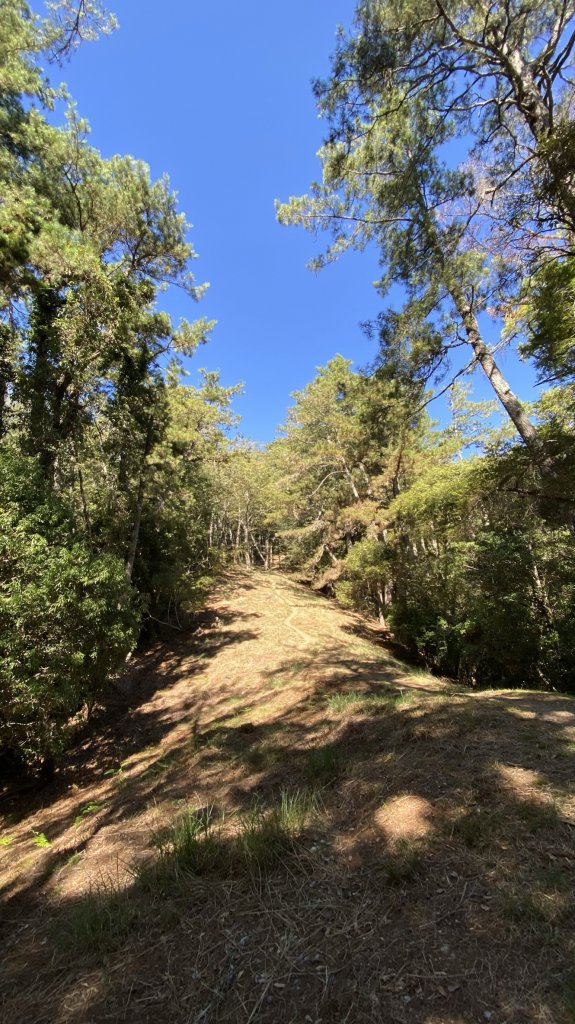 志雪劍之旗_1488488