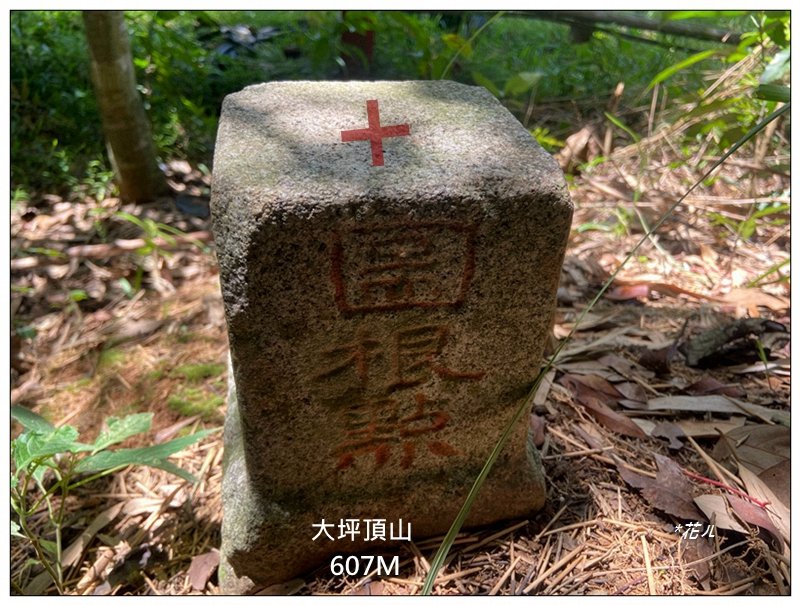 大坪頂山 (苗栗、卓蘭)封面圖