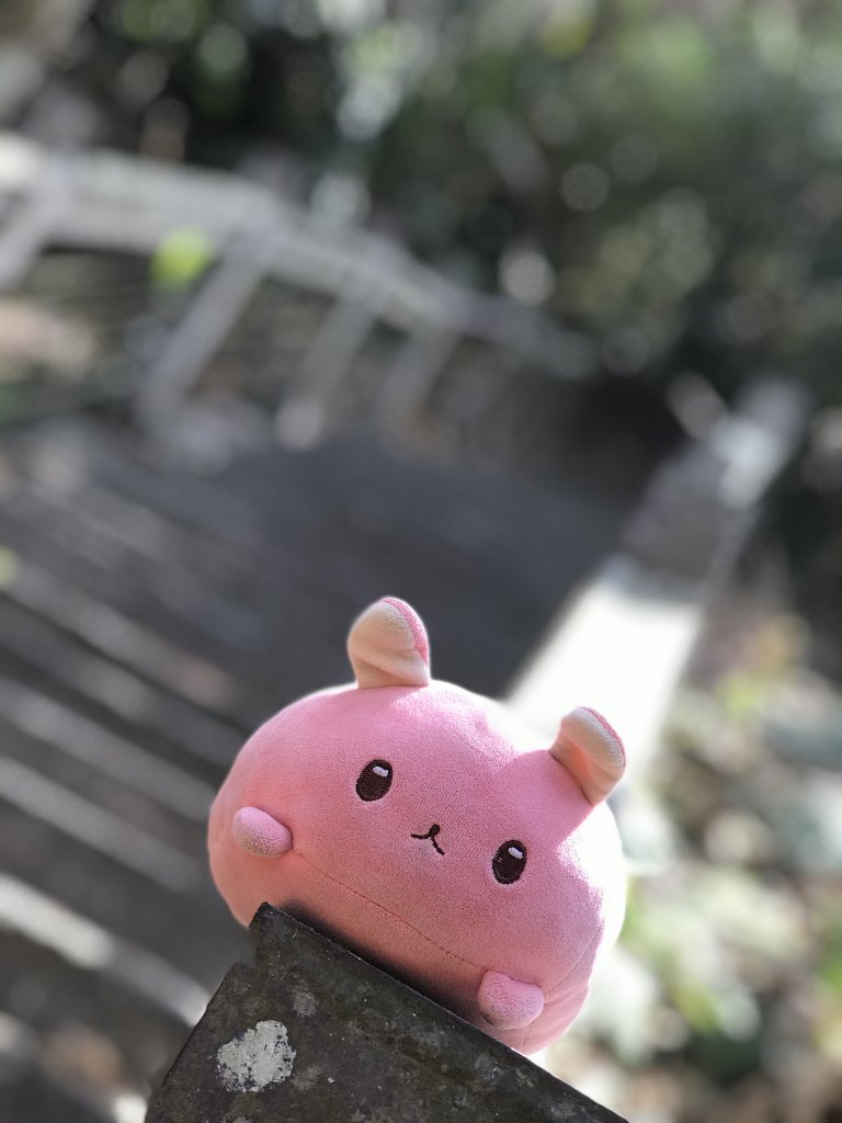 110年5月2日嘉義    青年嶺&雲潭步道_1456764