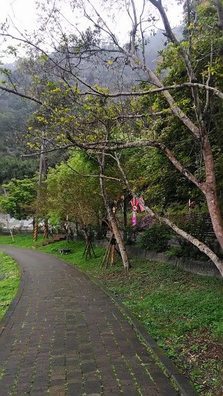 2019 2/28 望龍埤_874091