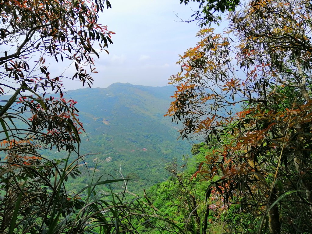 地震後的自然遺跡#47小百岳~九份二山封面圖