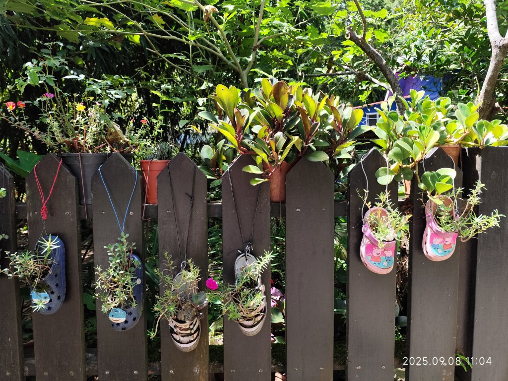【臺北大縱走 7】2-1 樟山寺→樟樹步道→彩雲亭→相思炭窯→貓纜貓空站→指南路三段40巷_2881780