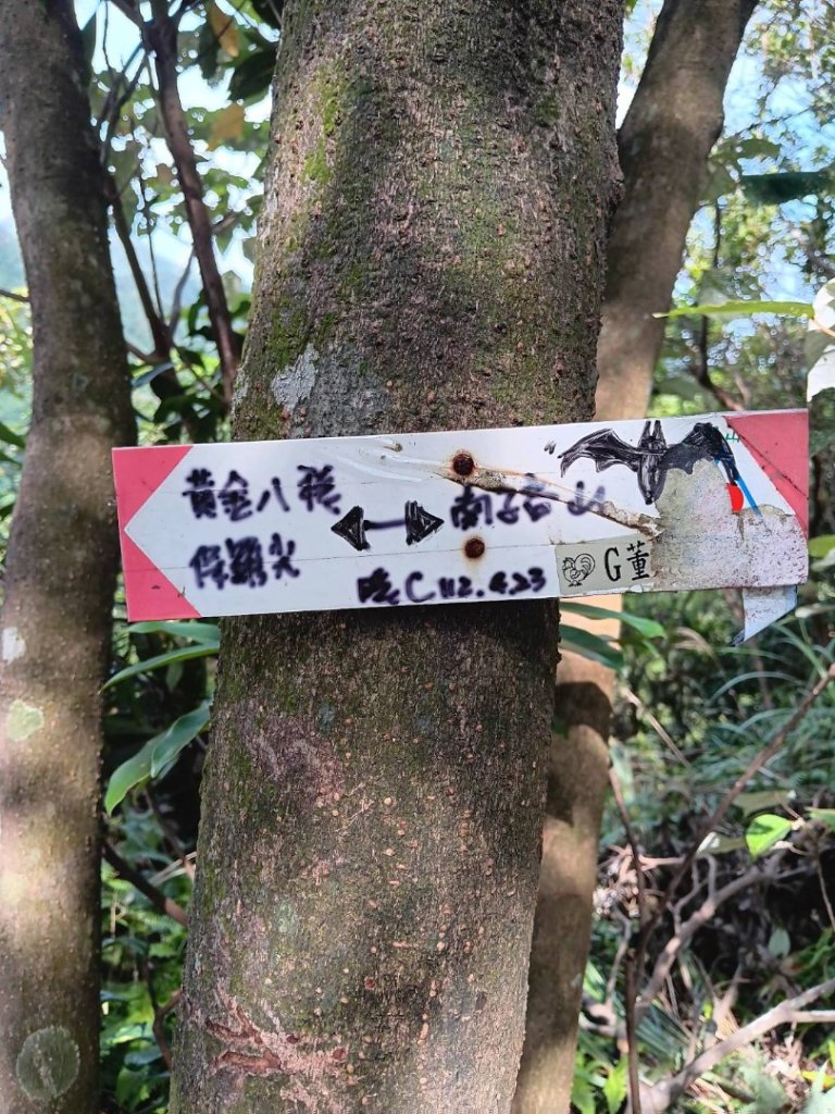瑞芳小錐麓（劍龍绫_2790102