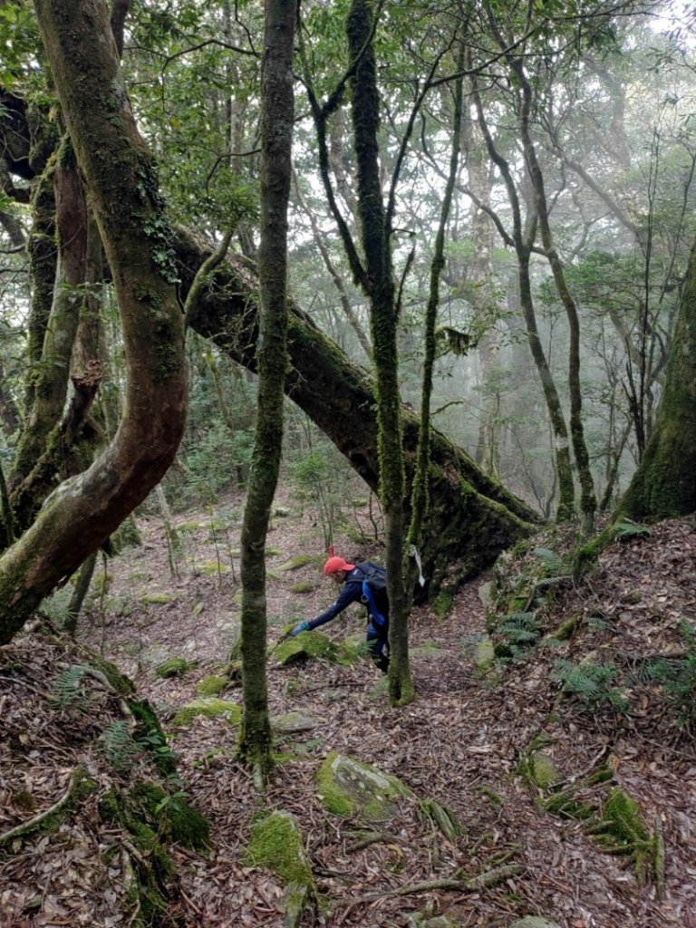 🥵20231107南一段會繞過🤷忘記的溪南山_2340078