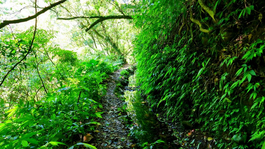 猴崁古道。盧特訪積_2773294