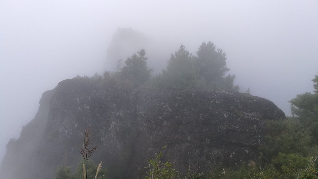 阿里山塔山步道之行封面圖