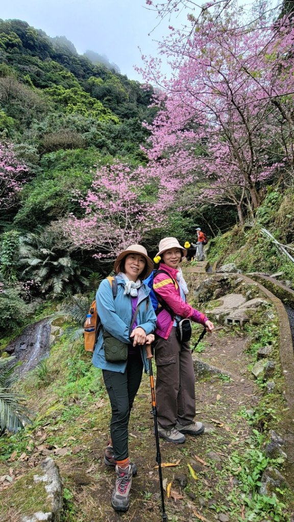 賞花+爬山健行-20240224_2436944