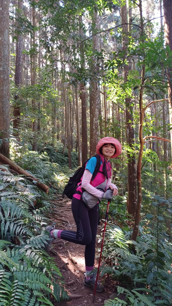 【苗栗南庄】向天湖山光天高山小O繞_2933155