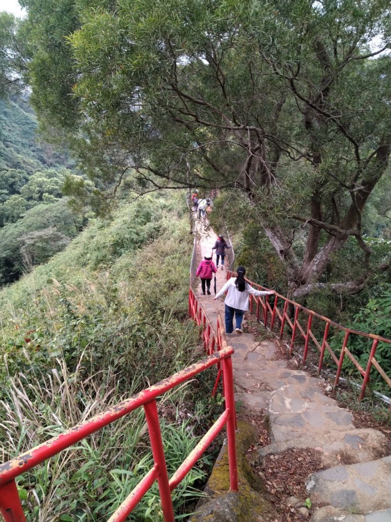 鼓山尖峰泡茶趣---田中森林登山步道封面圖