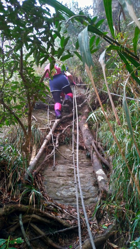 小百岳【三腳南山】_915770