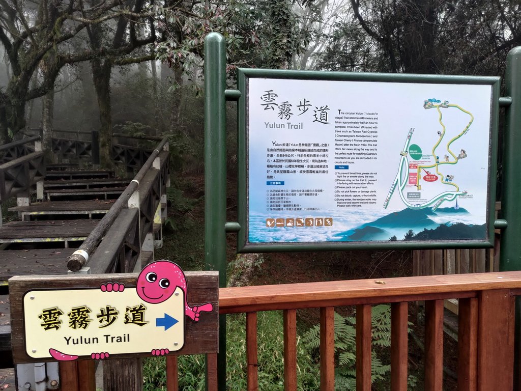 【新竹縣五峰鄉】雲霧步道封面圖