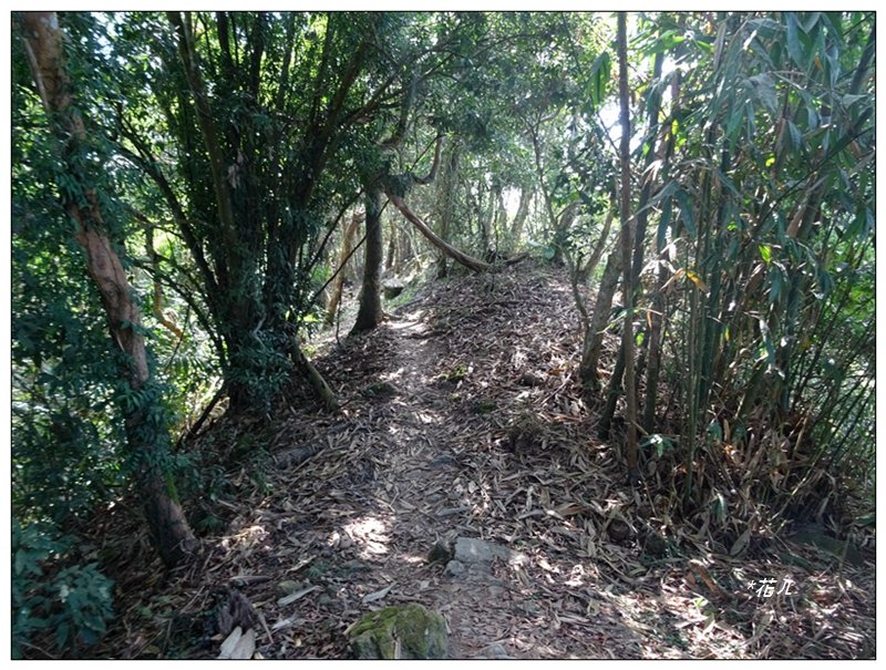 竹子尖山(小百岳)稜線步道O形一圈_2355495