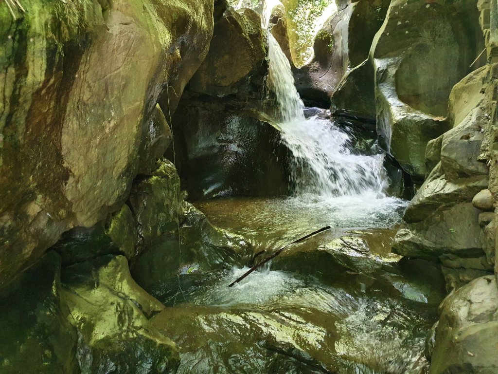 太平仙人堀步道封面圖