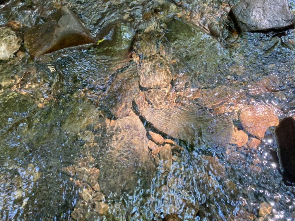 淡蘭古道中路（柑腳-外澳）_1466509