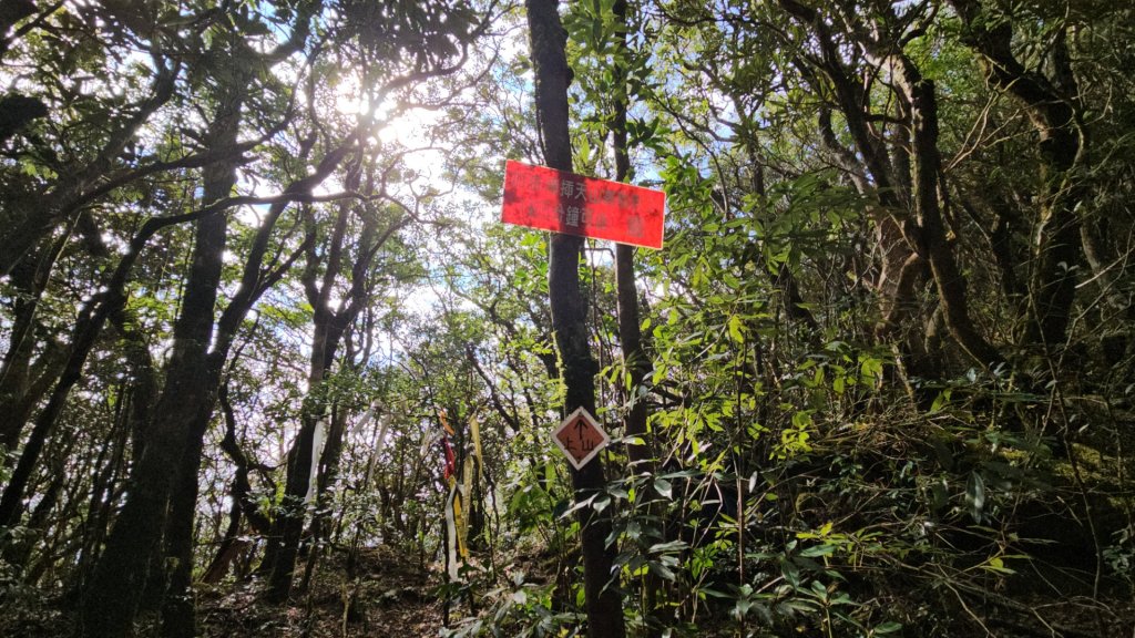 20260118南插天山.魯培山.上宇內山(南插北峰)_2989799