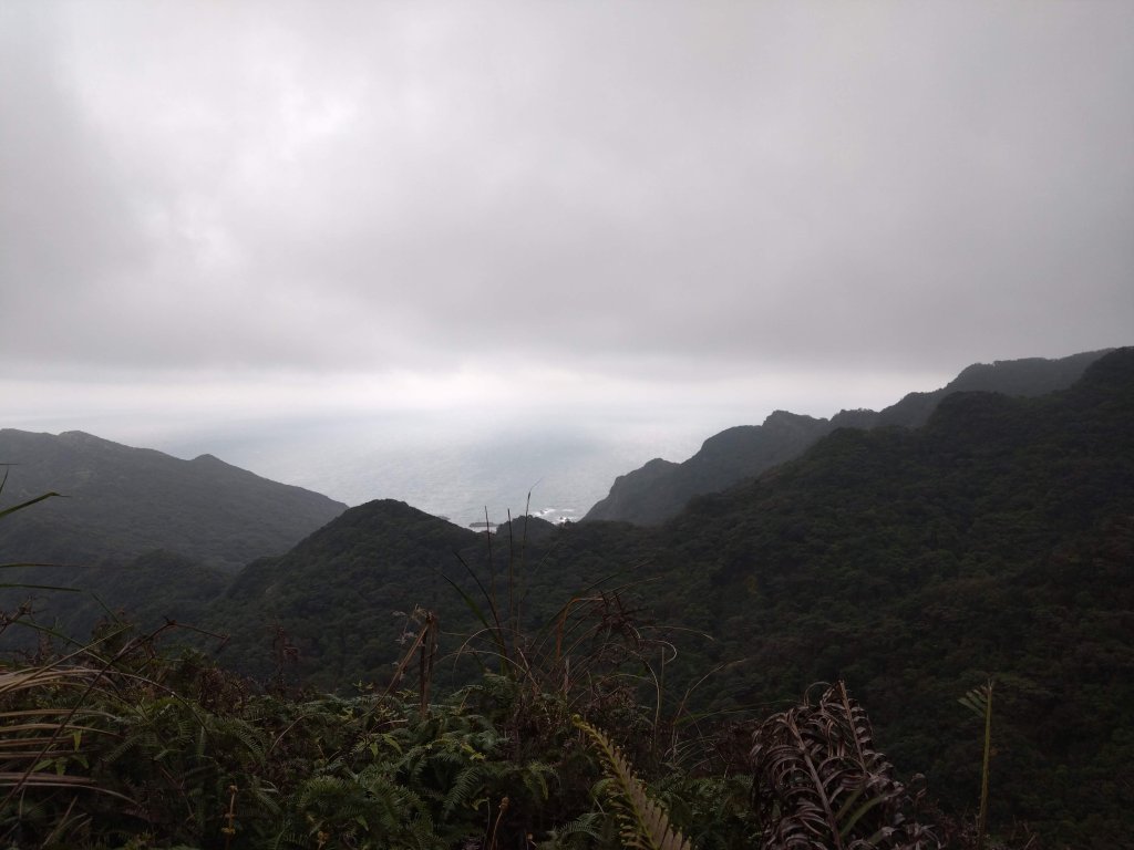 黃金七八稜_2433784