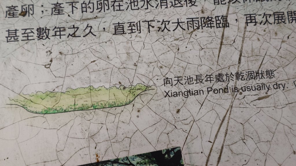 20260125 陽明山前後山健行(無極天元宮~山仔頂步道.向天池.向天山.面天山.二子坪)_2998001