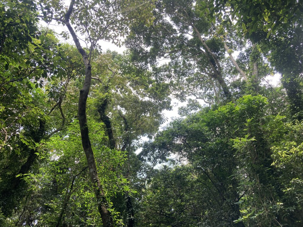 打牛崎古道_2563977