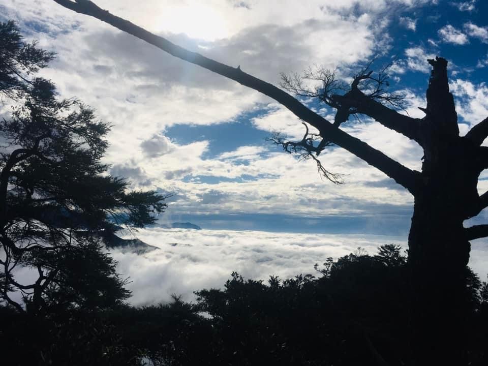 期間限定、北得拉曼神木、內鳥嘴山毛櫸、巨木、雲海、瀑布_1924504