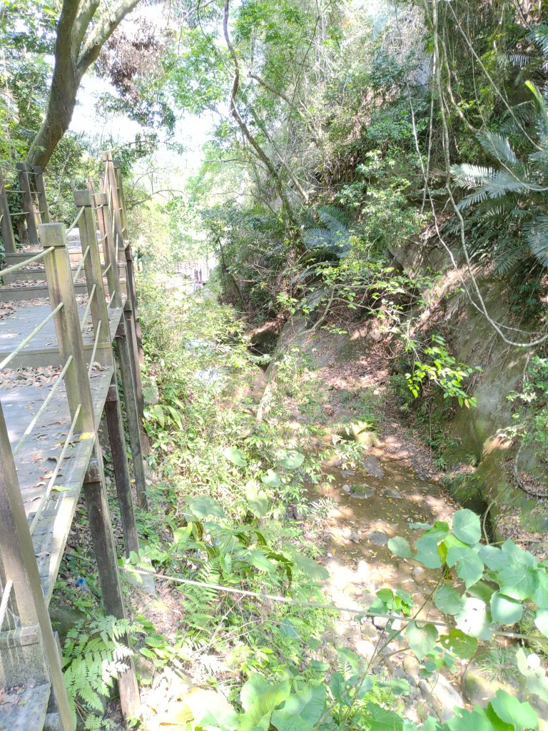 蝙蝠洞延伸步道_20230501_2144915