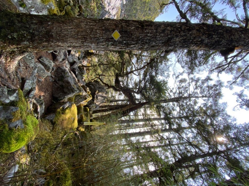 白姑大山_2130214