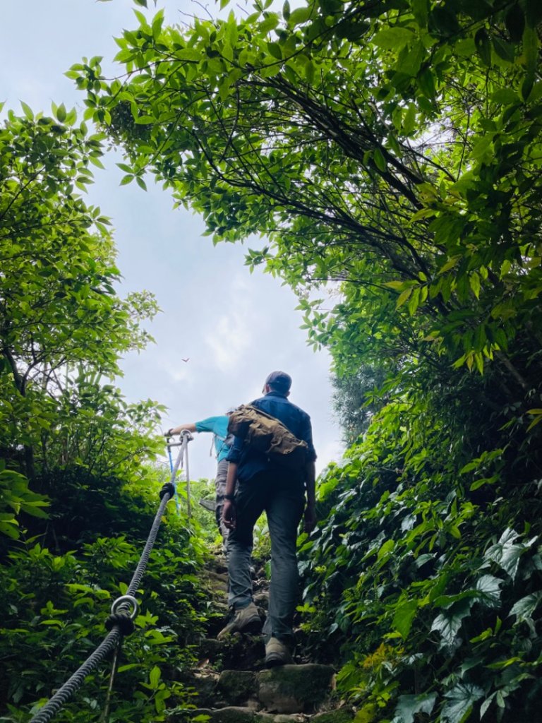 淡蘭中路（暖暖車站-十分車站）_1685460