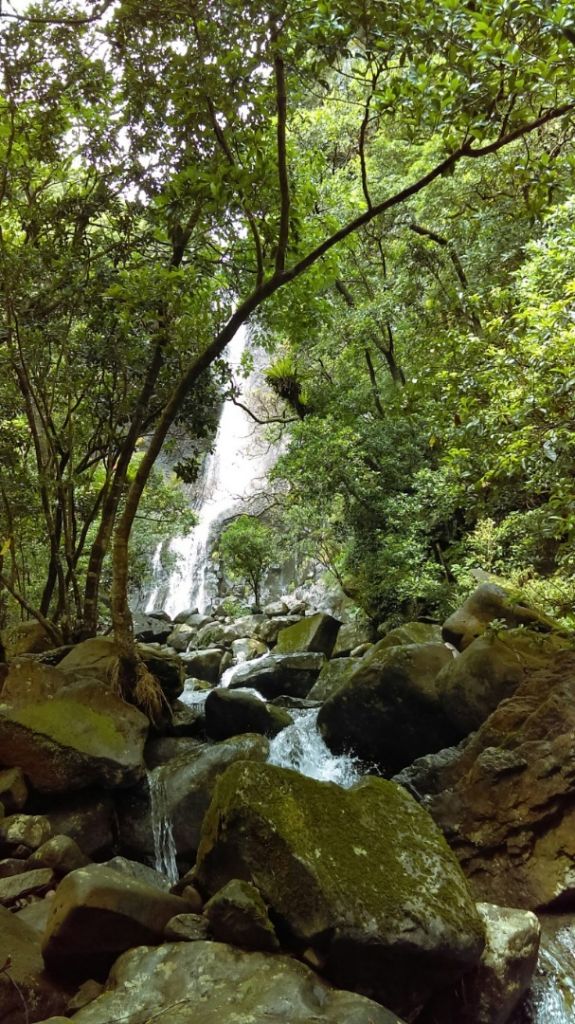 陽明山國家公園最大的瀑布「阿里磅瀑布」_406729