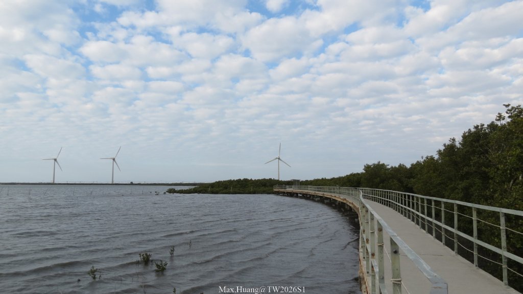 《彰化》海空夕照｜王功燈塔及芳苑海空步道健行賞冬候鳥20260110_2980319