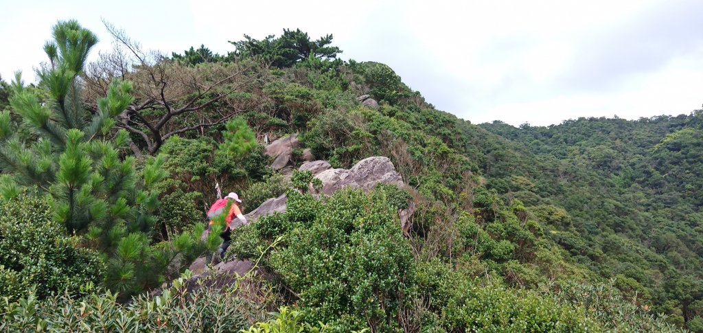 108.07.21汐止柯子林山如意湖_634119