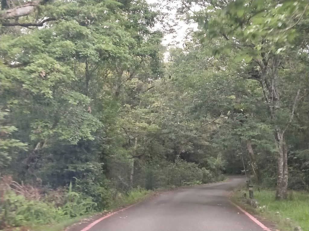 福山植物園_353552