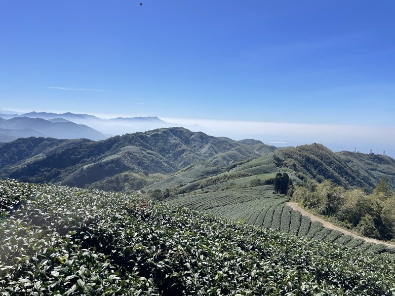 雲嘉七連峰封面圖